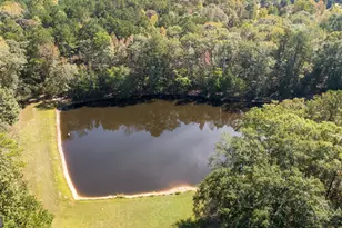 1216 Fern Rd, Woodbury, GA 30293 - Photo 4