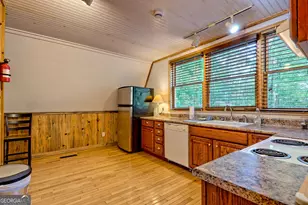 3147 Old Hwy 64 W, Warne, NC 28909 - Photo 44