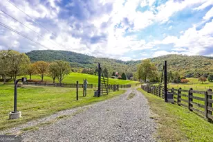 3147 Old Hwy 64 W, Warne, NC 28909 - Photo 6