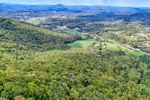 3147 Old Hwy 64 W, Warne, NC 28909 - Photo 90