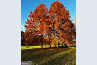 3147 Old Hwy 64W, Warne, NC 28909 - Photo 10