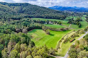 3147 Old Hwy 64 W, Warne, NC 28909 - Photo 2