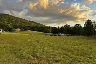 3147 Old Hwy 64 W, Warne, NC 28909 - Photo 96