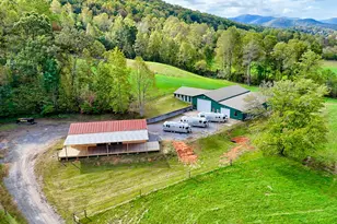 3147 Old Hwy 64 W, Warne, NC 28909 - Photo 4