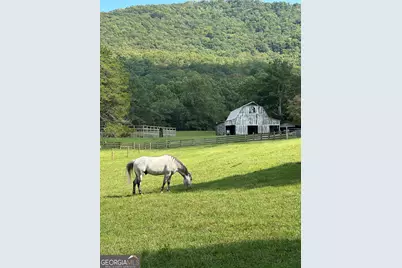 3147 Old Hwy 64W, Warne, NC 28909 - Photo 70