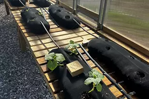 3147 Old Hwy 64 W, Warne, NC 28909 - Photo 64