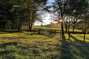 3147 Old Hwy 64 W, Warne, NC 28909 - Photo 96