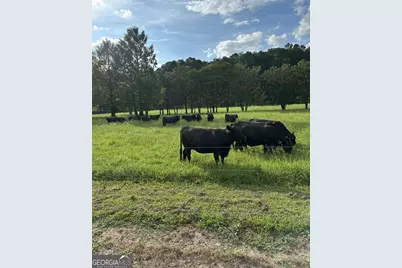 3147 Old Hwy 64W, Warne, NC 28909 - Photo 90