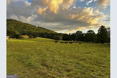 3147 Old Hwy 64W, Warne, NC 28909 - Photo 98