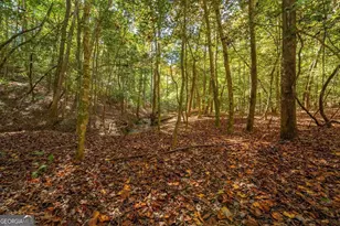 69 Blue Crk Cv, Cleveland, GA 30528 - Photo 40