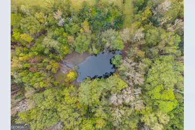 893 W Lane Street, Brooklet, GA 30415 - Photo 54