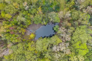 893 W Lane St, Brooklet, GA 30415 - Photo 54