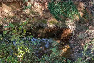 3065 Brookhaven Dr, Watkinsville, GA 30677 - Photo 74