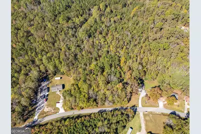 0 Hog Liver Road, Carrollton, GA 30117 - Photo 10