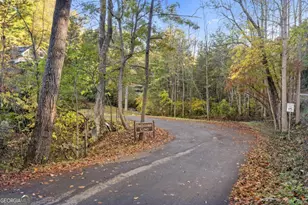 94 Butternut Creek Rd, Blairsville, GA 30512 - Photo 54