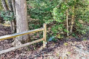 3008 Smyrna Rd, Young Harris, GA 30582 - Photo 56