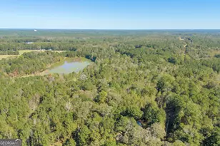 57 Pleasant Ln, Comer, GA 30629 - Photo 50