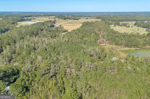 57 Pleasant Ln, Comer, GA 30629 - Photo 42