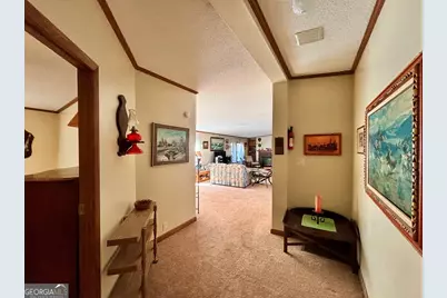 40 David Powell Road, Sparta, GA 31087 - Photo 38