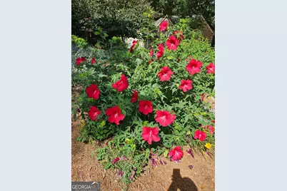 295 Blue Heron Drive, Athens, GA 30605 - Photo 48