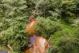 295 Blue Heron Dr, Athens, GA 30605 - Photo 60