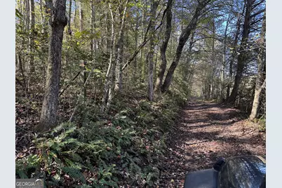 0 Saffron Lane, Blue Ridge, GA 30513 - Photo 4
