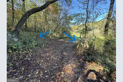 0 Saffron Lane, Blue Ridge, GA 30513 - Photo 6