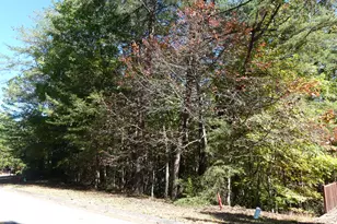 0 Zeppelin Strasse, Helen, GA 30545 - Photo 1