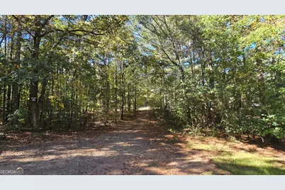 377 Dock Hyde Road, Carrollton, GA 30116 - Photo 16