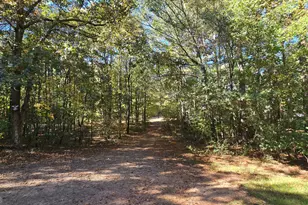 377 Dock Hyde Rd, Carrollton, GA 30116 - Photo 16