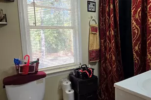 377 Dock Hyde Rd, Carrollton, GA 30116 - Photo 30