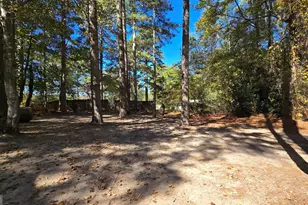 377 Dock Hyde Rd, Carrollton, GA 30116 - Photo 32