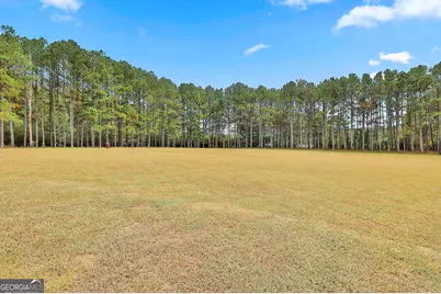 110 Whistle Pine Farm Drive, Senoia, GA 30276 - Photo 52
