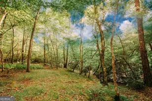 329 Twisting Ridge Trail, Demorest, GA 30535 - Photo 30