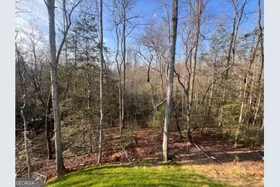 329 Twisting Ridge Trail, Demorest, GA 30535 - Photo 30