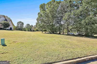 18 Lake View Court, Senoia, GA 30276 - Photo 46