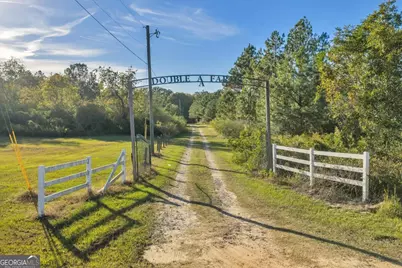 874 Mistletoe Road, Abbeville, GA 31001 - Photo 2