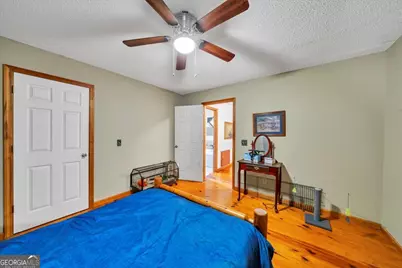 874 Mistletoe Road, Abbeville, GA 31001 - Photo 32