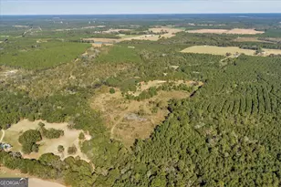 874 Mistletoe Rd, Abbeville, GA 31001 - Photo 52