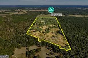 874 Mistletoe Rd, Abbeville, GA 31001 - Photo 66