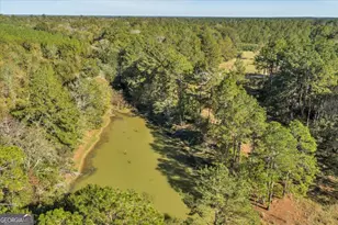 874 Mistletoe Rd, Abbeville, GA 31001 - Photo 42
