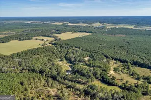 874 Mistletoe Rd, Abbeville, GA 31001 - Photo 56