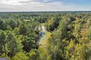 874 Mistletoe Rd, Abbeville, GA 31001 - Photo 44