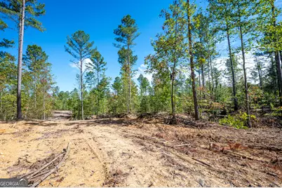 3805 Hwy 140 NE, Rydal, GA 30171 - Photo 8