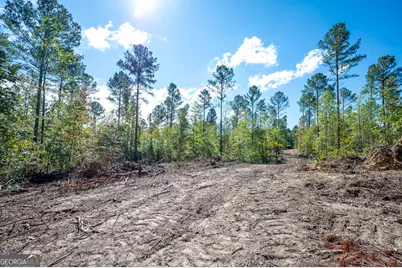 3805 Hwy 140 NE, Rydal, GA 30171 - Photo 4