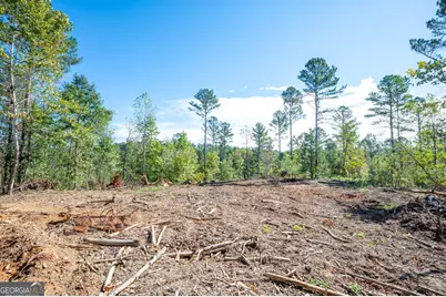 3797 Hwy 140 NE, Rydal, GA 30171 - Photo 4