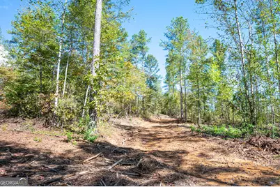 3797 Hwy 140 NE, Rydal, GA 30171 - Photo 6