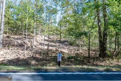 3797 Hwy 140 NE, Rydal, GA 30171 - Photo 2