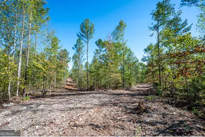 3793 Hwy 140 NE, Rydal, GA 30171 - Photo 4
