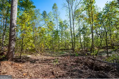 3793 Hwy 140 NE, Rydal, GA 30171 - Photo 6